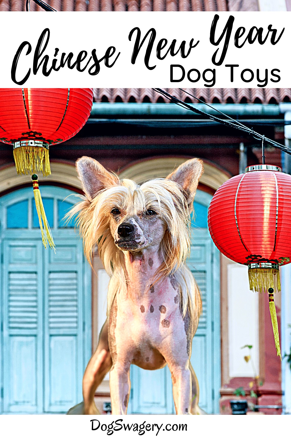 https://dogswagery.com/wp-content/uploads/2021/01/Dogswagery.008.PIN_.ChineseNewYears.Dog_.Toys_.jpeg