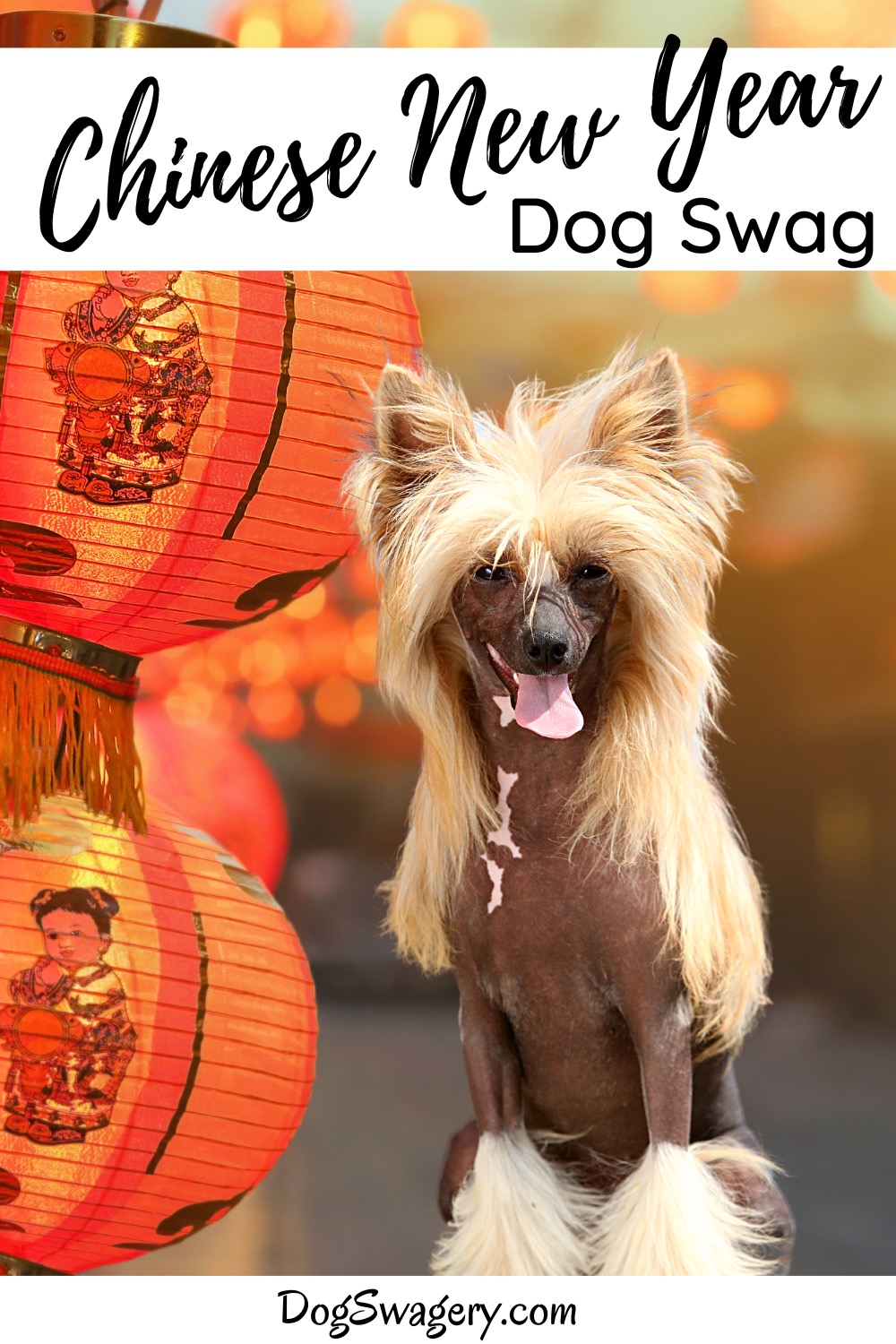 Chinese New Years Eve Dog Swag
