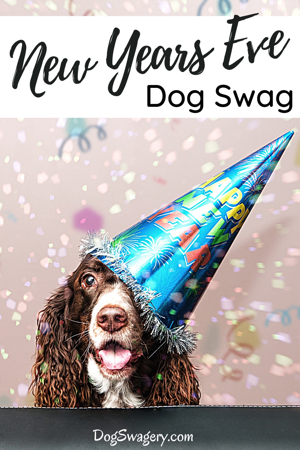 New Years Eve Dog Swag