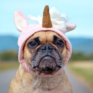Image by Shutterstock Puppy Pug Cute Pink Headband Women's Tee