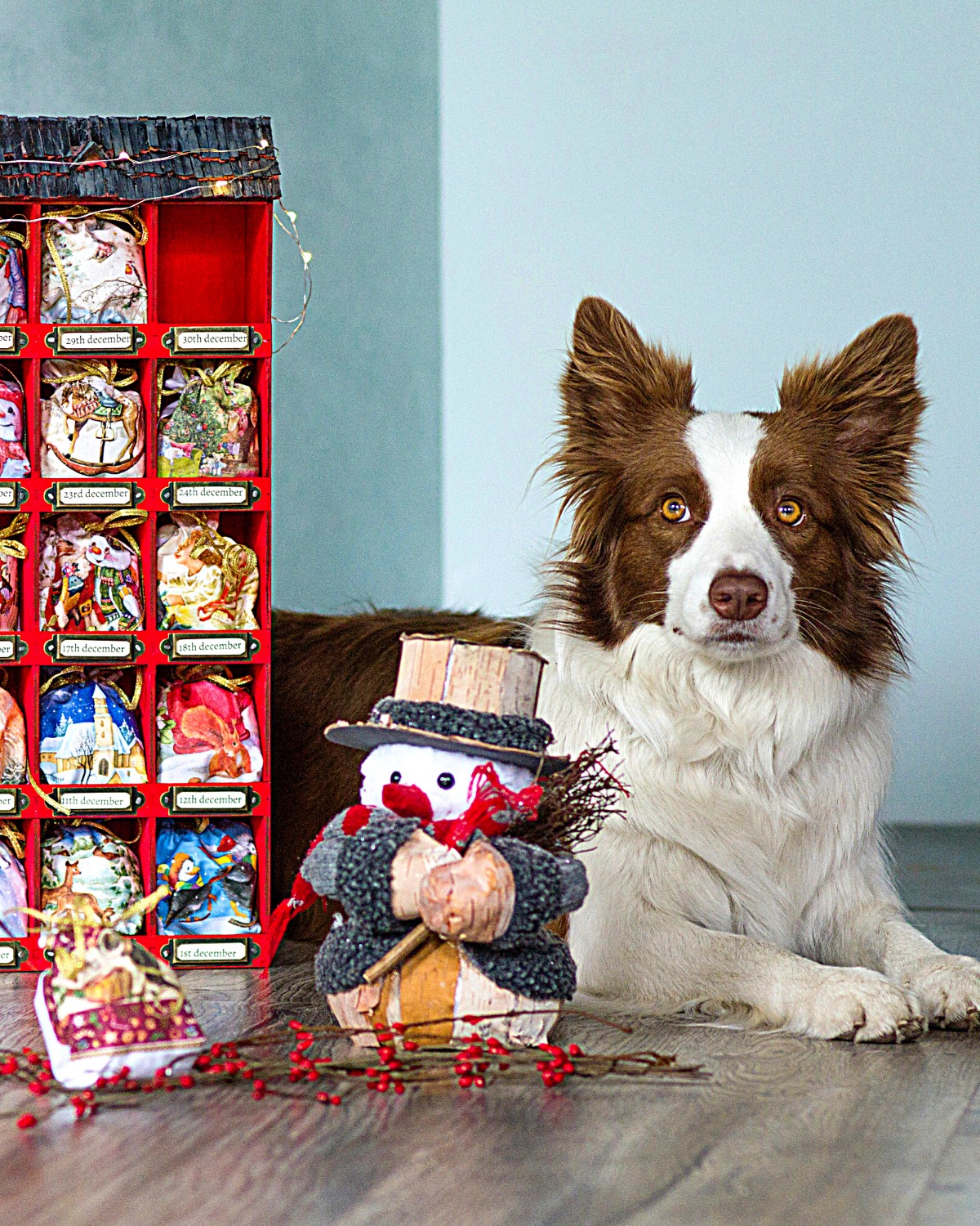 Christmas: Interactive & Squeaky Dog Toys