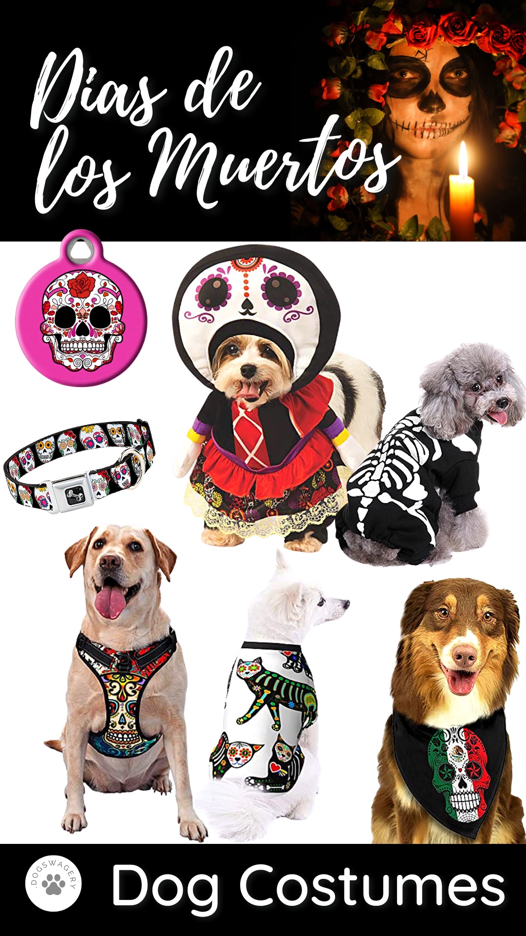 Day of the Dead Sugar Skulls Dog Costumes and Accessories
