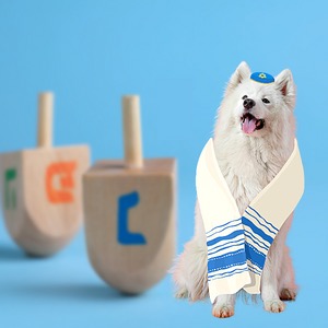 Hanukkah Dog Outfits & Costumes