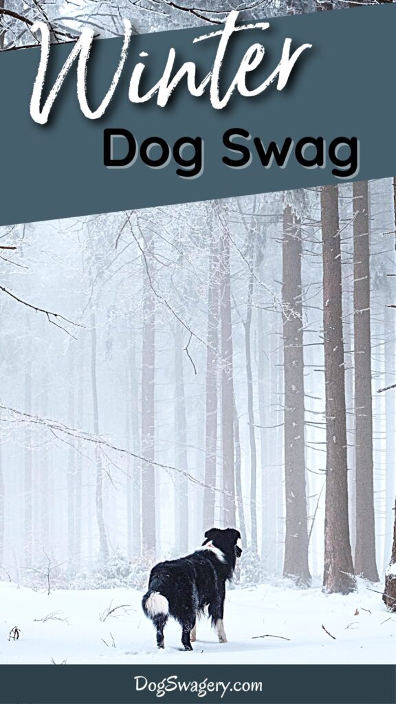 Winter Dog Swag